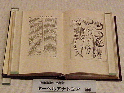 「ターヘル・アナトミア」（複製）国立科学博物館の展示